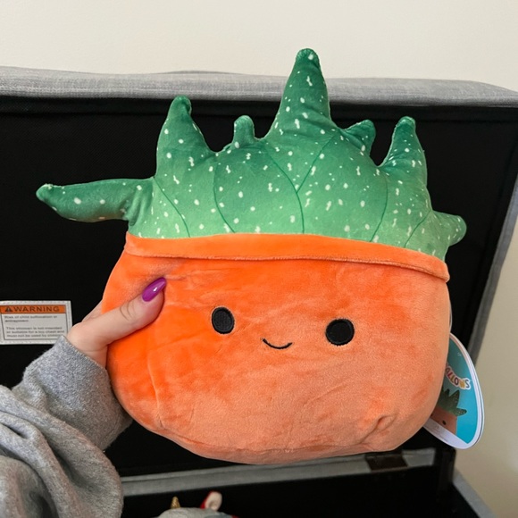 Orange succulent squishmallow - Picture 1 of 1